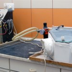 Képek a laborról Képek a laborról